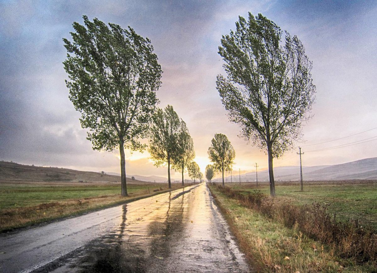 Il Veneto dei flussi viaggia lungo la Pedemontana